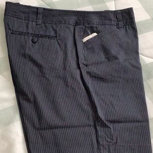The Limited Pin Stripe Navy Dress Capri (New)